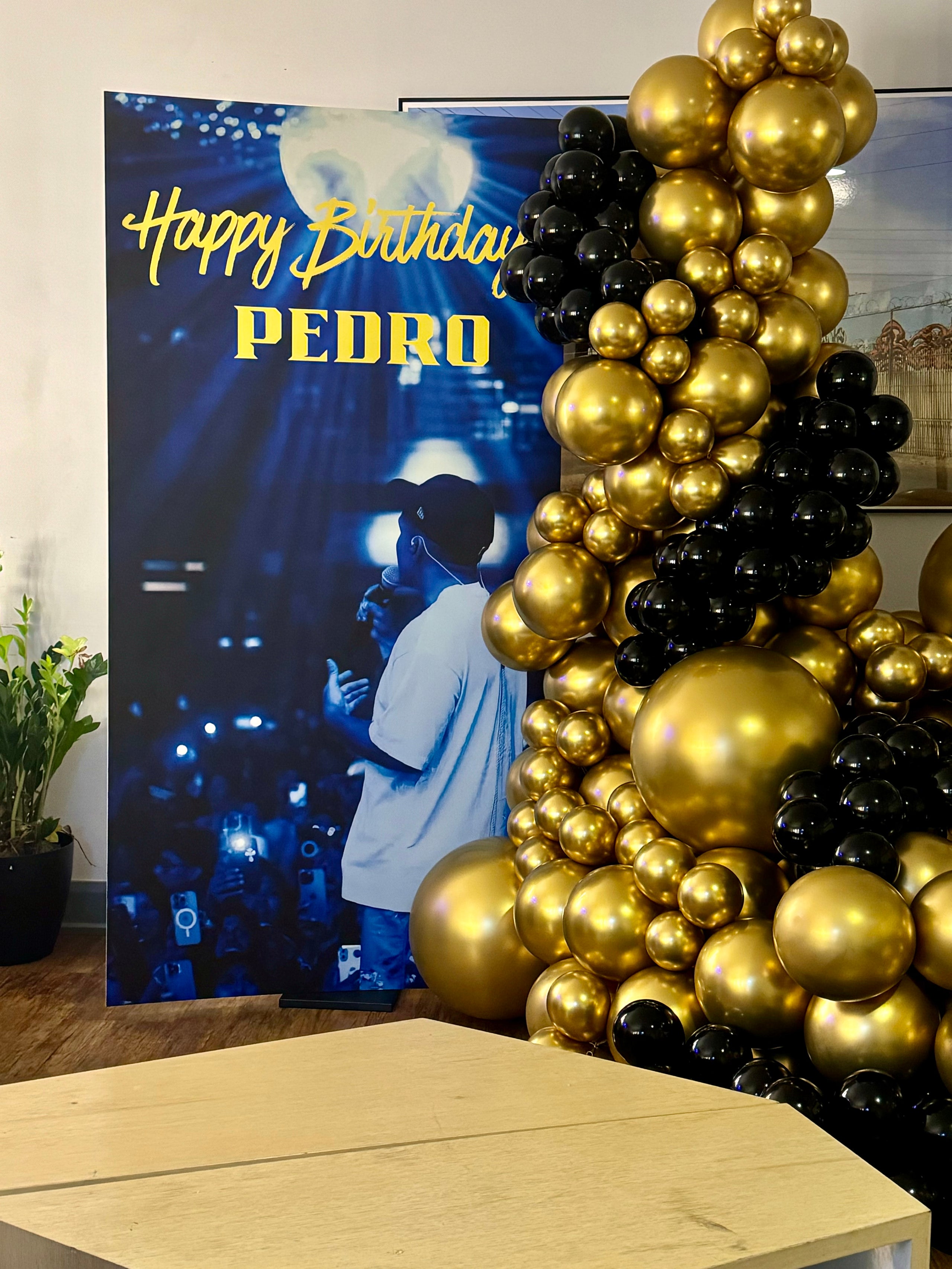 Foam Board Picture 40x78